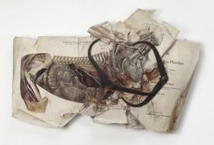 Study for an Idol IX, Jan Manski, 2013, 80 x 58 x 6 cm, 1939 horse anatomy illustration, 1870 human anatomy illustration, crayon, measuring instruments, wood and glass box frame