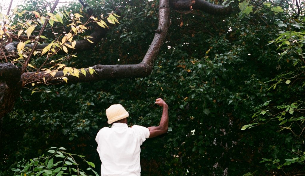 Ayo Akingbade, Hella Trees, HD video still, 2020 © the artist, Courtesy of Tintype