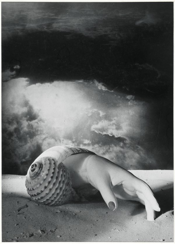 'Untitled' (Hand-Shell), Dora Maar, 1934, Courtesy of Tate