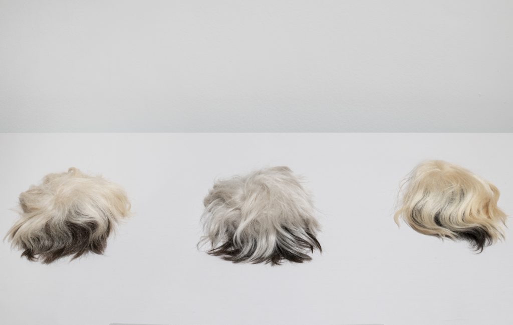 Warhol Wigs FAD MAGAZINE