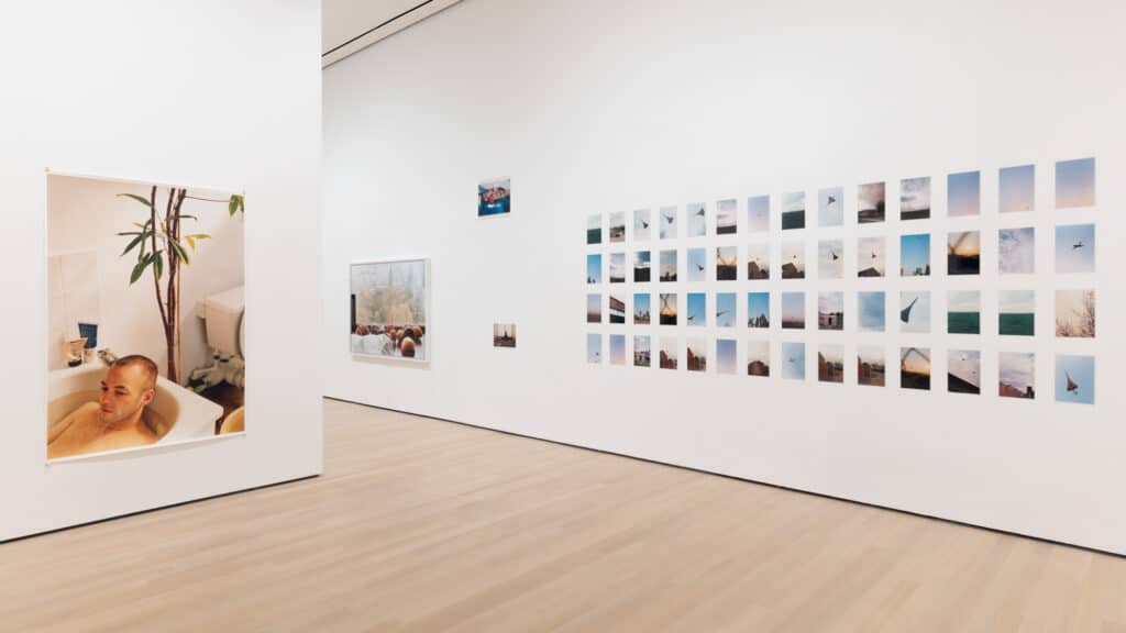 Installation view of Wolfgang Tillmans: To look without fear, on view at The Museum of Modern Art, New York from September 12, 2022 – January 1, 2023. Photo: Emile Askey