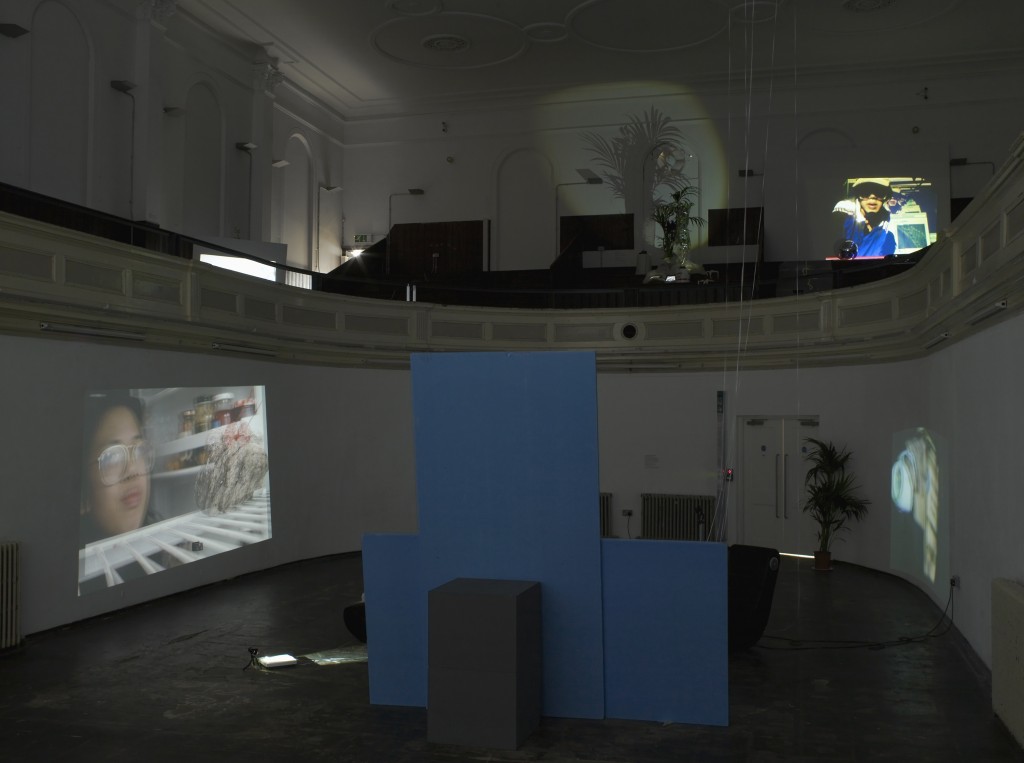 Zabludowicz Collection, Trisha Baga, Installation View, 8