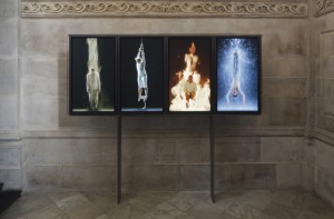 bill viola