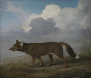 Portrait of a large dog (Dingo) 1772 by George Stubbs. ZBA5755