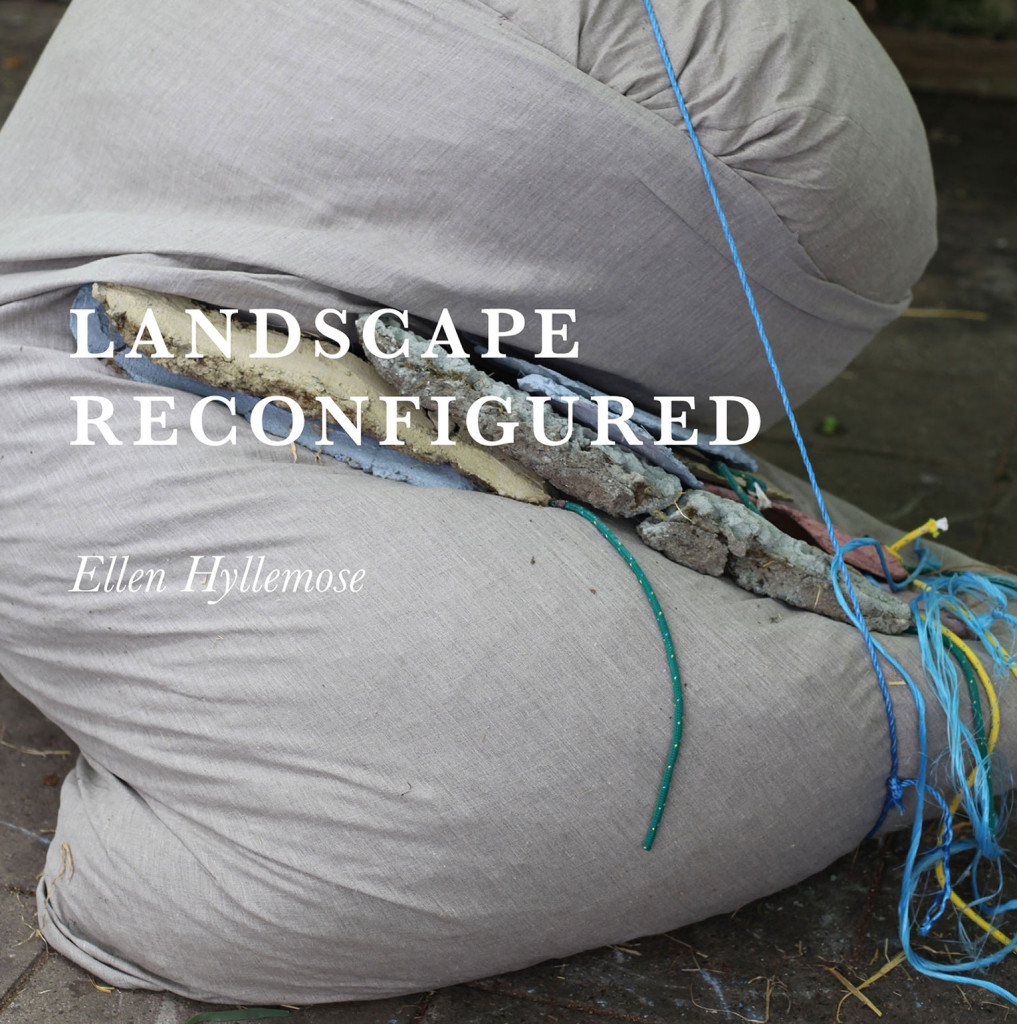 exhibition-landscape-reconfigured