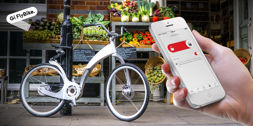 can i take my folding electric bike on a plane