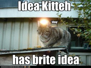 idea-cat