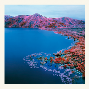 THE VINYL FACTORY PRESENTS RICHARD MOSSE’S THE ENCLAVE