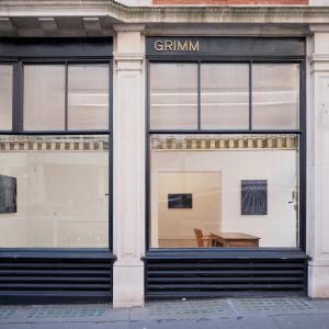 Paul’s Gallery of the Month: Grimm installation-view_michael-raedecker_placebo-drive_grimm-london-2026_22 copy
