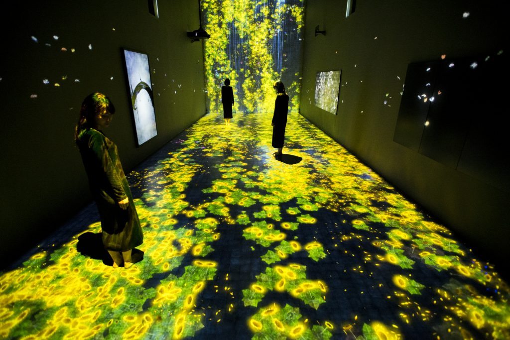 teamLab Transcending Boundaries