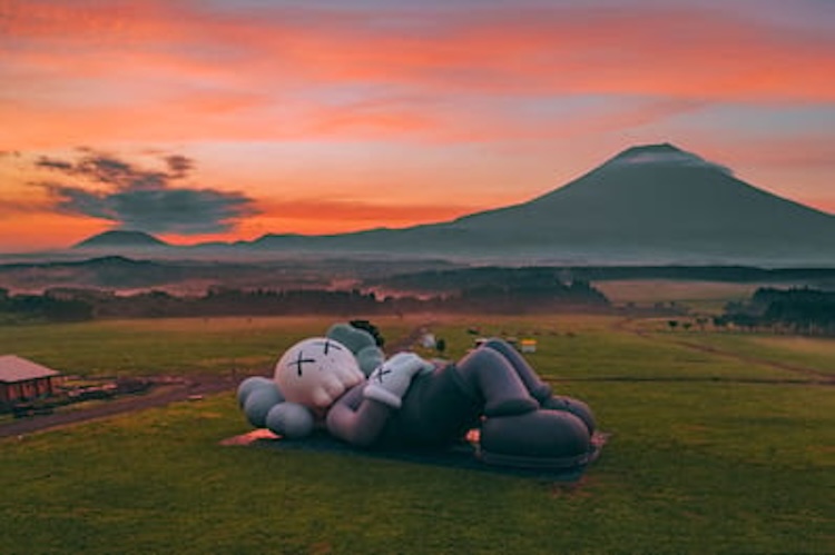 Mr. Flower Fantastic + KAWS headline The New York Botanical Garden