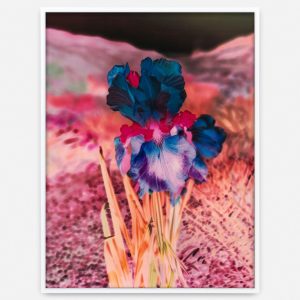 Lisa Oppenheim Madamm Steichen Version VII, 2025 Dye transfer print Framed: 49.6 x 37.9 x 3.7 cm 19 1/2 x 14 15/16 x 1 7/16 in.