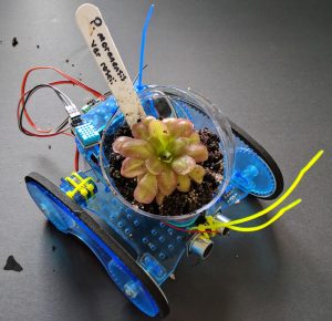 BOISE, Idaho (Aug. 22, 2017) -- IT'S ALIVE!!! -- Citizen Scientific Workshop has a Kickstarter campaign underway to fund the production of 100 Plantoid Robotics kits. Plantoids are plant-based cyborgs that gravitate toward fresh air, water, and sunlight. The low-cost, reusable kits fuse life science, biology, earth science, and engineering together into a fun, easy-to-make project perfect for first-time robot builders of all ages. Visit www.kickstarter.com/projects/djults/practical-plantoid-robotics-easy-to-build-organic for more details.