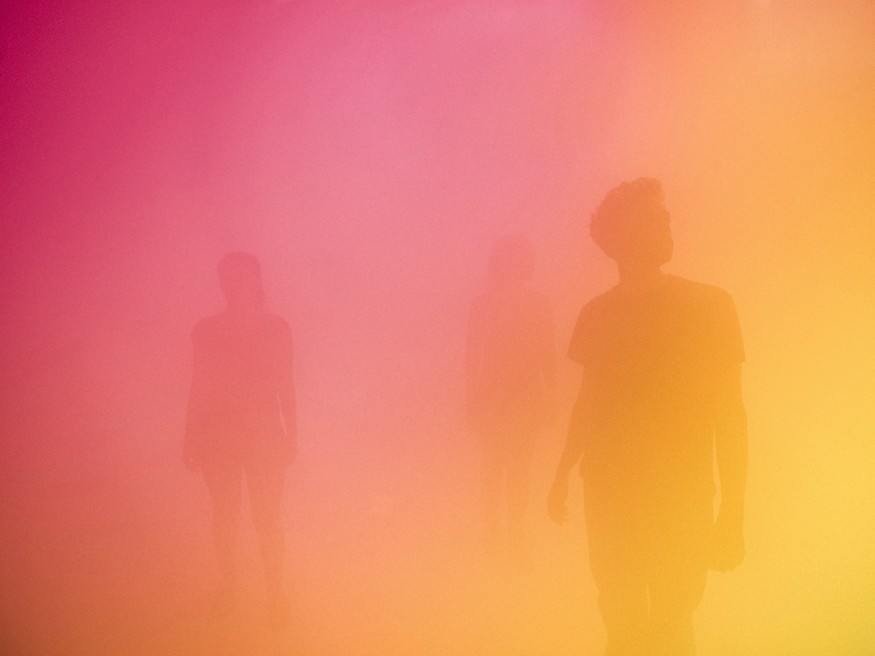 C0124383 States of Mind: Ann Veronica Janssens.